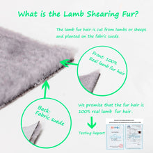 Load image into Gallery viewer, Women's Coats Sheep Shearing Fur Coat Women with Stand Collar Winter Sheep Sheared Christmas gift Fur Story FS17142