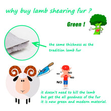Load image into Gallery viewer, Women's Coats Sheep Shearing Fur Coat Women with Stand Collar Winter Sheep Sheared Christmas gift Fur Story FS17142
