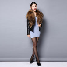 Load image into Gallery viewer, Genuine leather Jacket for women big Real raccoon fur collar 151246