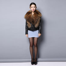 Load image into Gallery viewer, Genuine leather Jacket for women big Real raccoon fur collar 151246