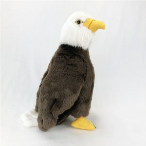 Simulated animal sea eagle plush doll bird series plush toys  22B53