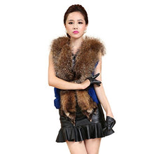 Load image into Gallery viewer, Fur Story Women&#39;s Short Real Rabbit Fur Vest with Raccoon Fur Collar