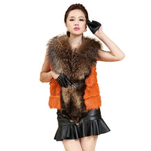 Load image into Gallery viewer, Fur Story Women&#39;s Short Real Rabbit Fur Vest with Raccoon Fur Collar