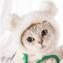 Load image into Gallery viewer, Headgear for Cats and Puppies Hat Soft Warm Adjustable Velcro Dress Up Headdress 22824