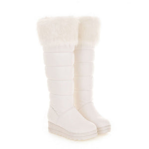 Women's Cold Weather Boots Waterproof Insulated Soft & Warm Fur-Lined 22S29