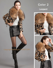 Load image into Gallery viewer, Women&#39;s Short Genuine Sheep Leather Coat with Raccoon Fur Collar