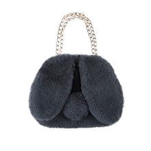 Load image into Gallery viewer, Crossbody Bags for Women Faux Fur Bunny Shoulder Bag Small Cute Purse for Girls