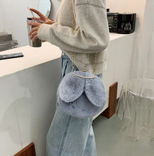 Load image into Gallery viewer, Faux Fur Wallet Fuzzy Bunny Women&#39;s Crossbody Bag Women&#39;s Plush Clutch  19820